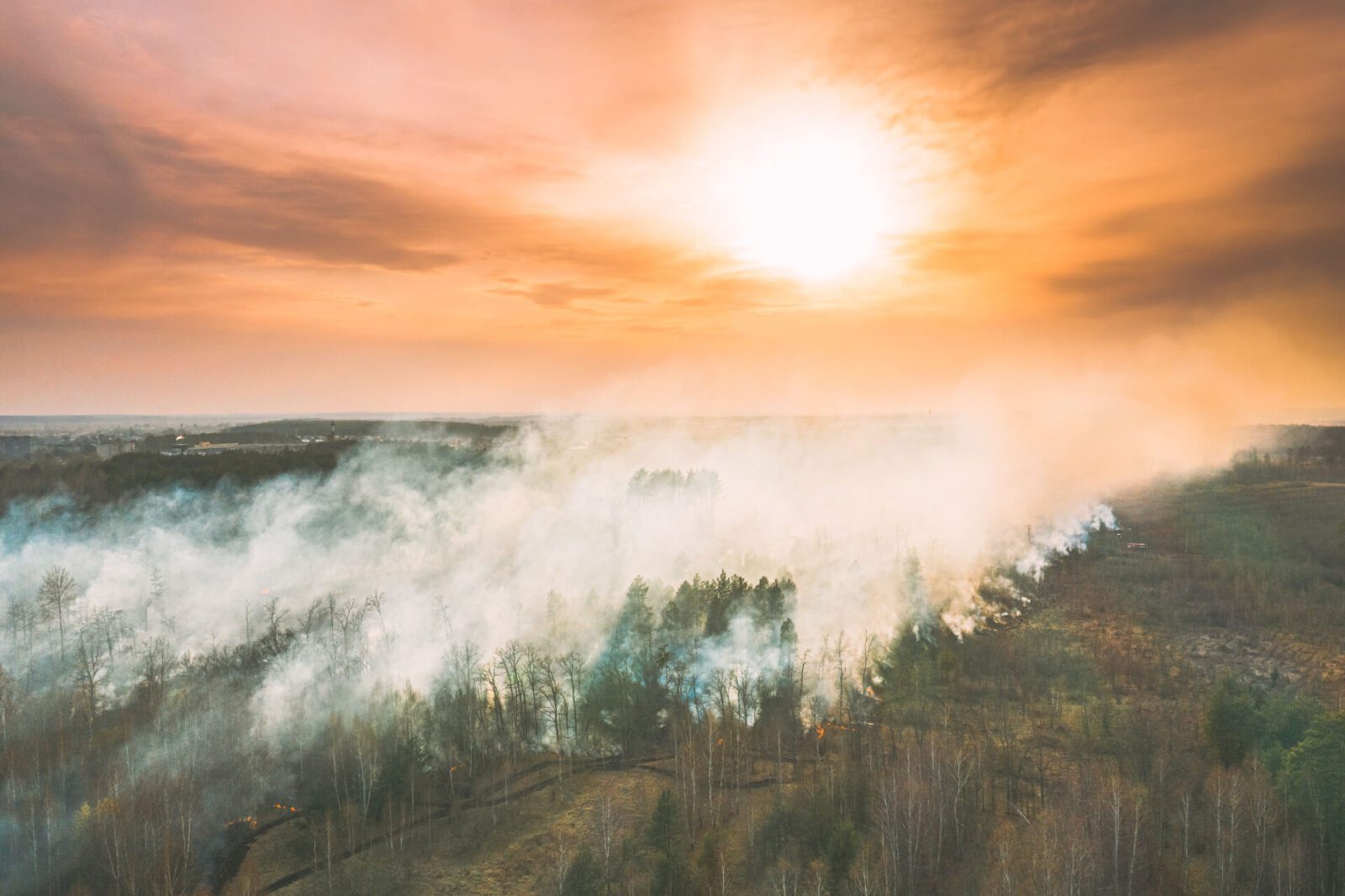 Wildfire Mitigation