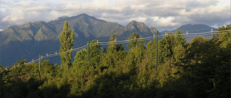 Hendrix Tree Wire - Aerial Spacer Cable Systems | Marmon Utility